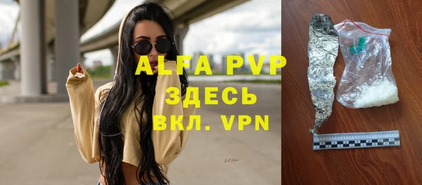 стафф Надым
