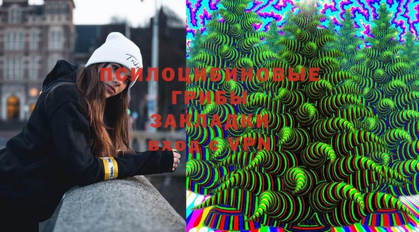 PSILOCYBIN Навашино