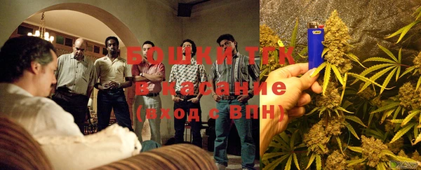 PSILOCYBIN Навашино