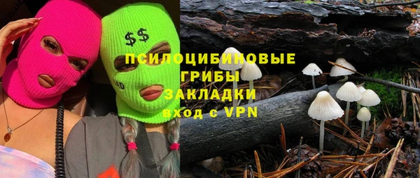 стафф Надым