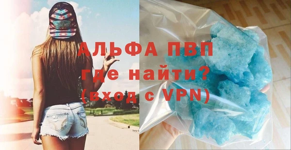 гашик Михайлов