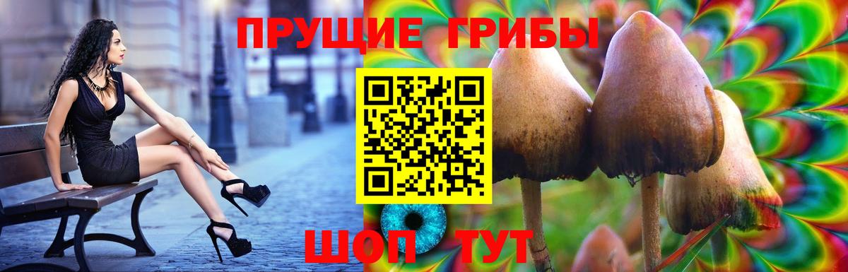 Миллерово  Псилоцибиновые грибы Psilocybine cubensis  Вход с VPN 